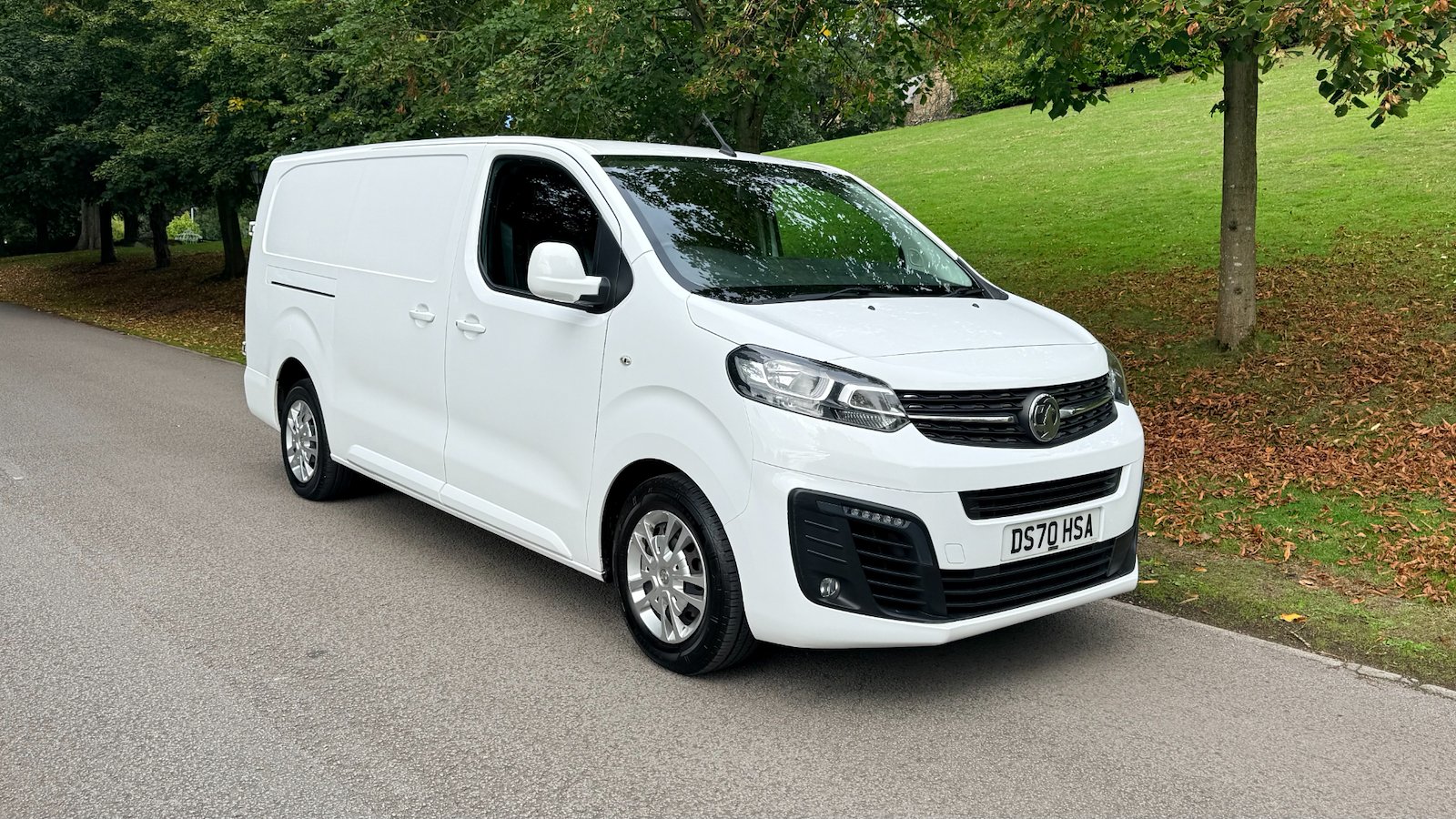 2020 Vauxhall Vivaro Panel Van — photo 1 of 1